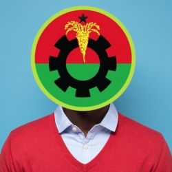 Md. Safiqul Islam Milton