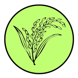 Bangladesh National Party symbol